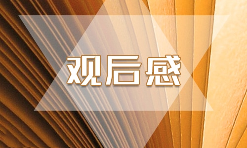 2023年“挺膺担当主题团课”总结报告